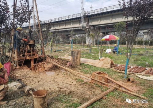 沿江高铁肥东段迎关键节点 店埠河特大桥启动勘测，为2020年开工建设铺路